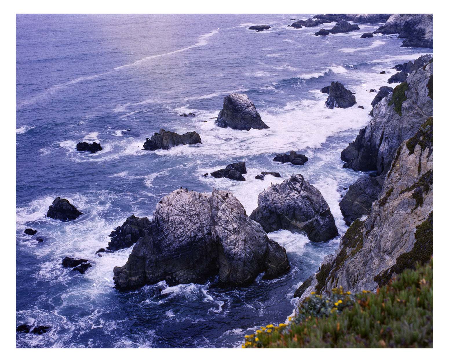 Bodega Bay